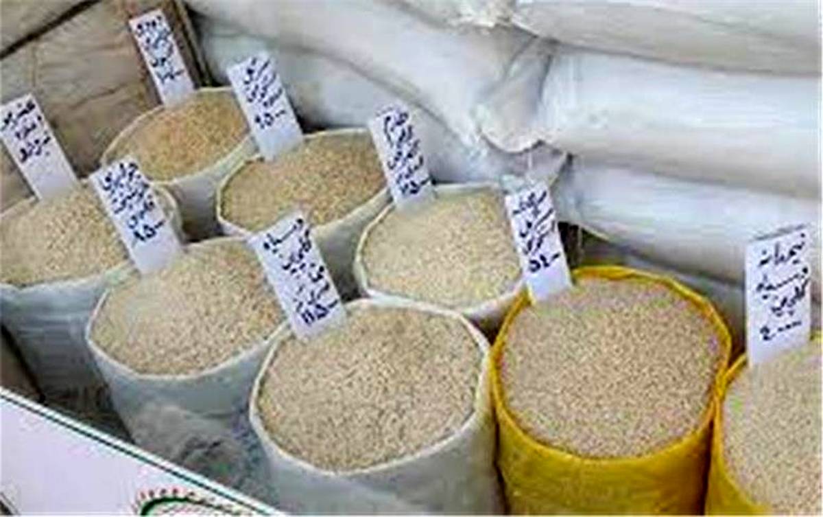 چرا قیمت برنج سر به فلک کشید؟/ کاهش واردات برنج زنگ خطر را برای سفره مردم به صدا درآورده است
