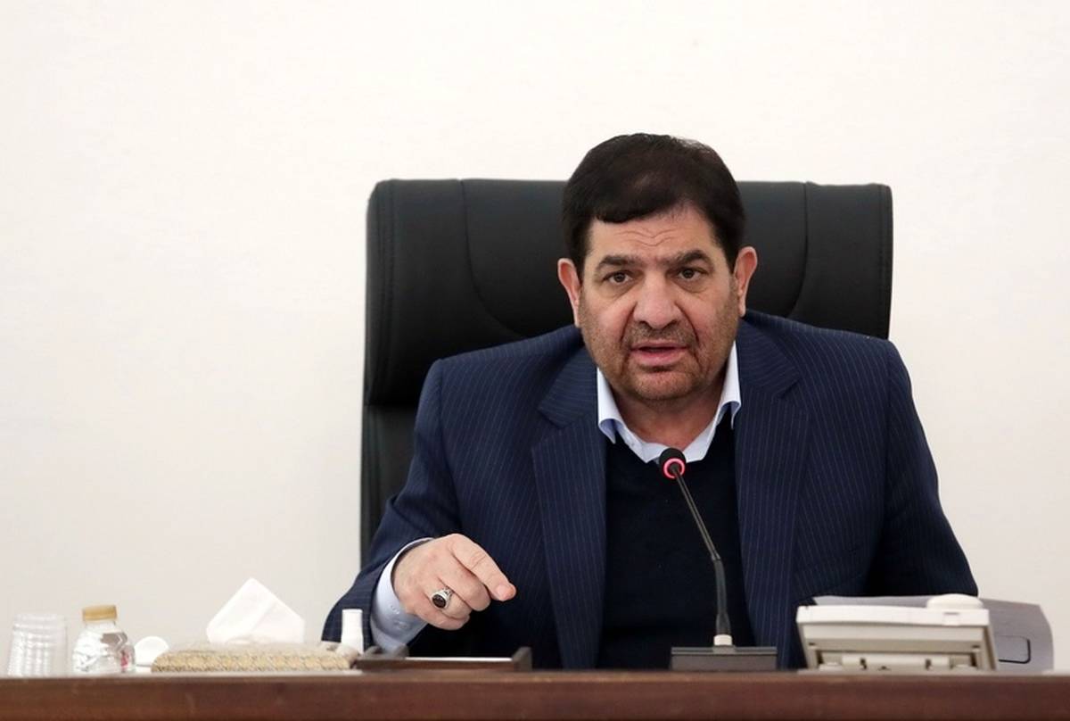 محمد مخبر:خرید گندم از کشاورزان رکورد شکست