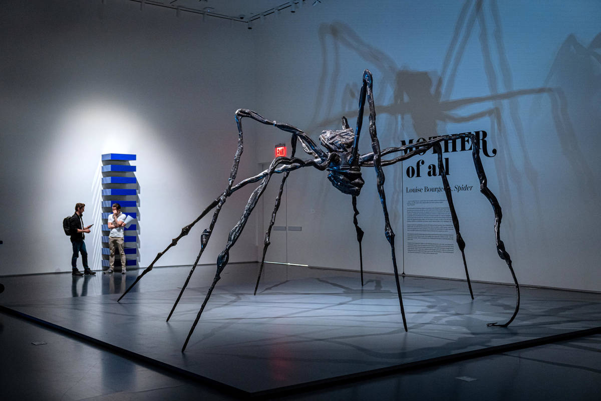 جابه‌جایی رکورد جهانی توسط یک عنکبوت غول‌پیکر 